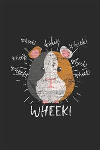 Wheek Guinea Pig