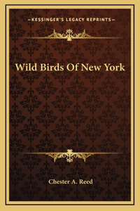 Wild Birds Of New York