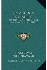 Homer In A Nutshell