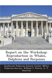 Report on the Workshop