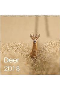 Deer 2018 2018