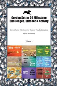 Gordon Setter 20 Milestone Challenges