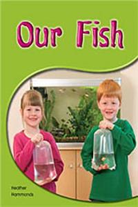 Our Fish