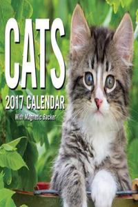 Cats 2017 Mini Day-To-Day Calendar