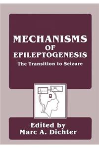 Mechanisms of Epileptogenesis