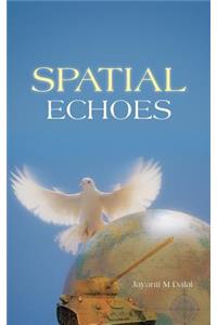 Spatial Echoes