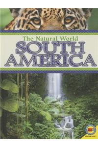 South America