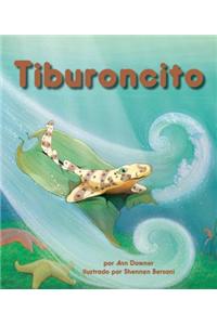 Tiburoncito