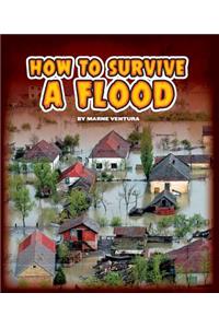 How to Survive a Flood