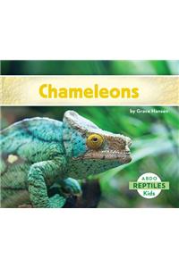 Chameleons