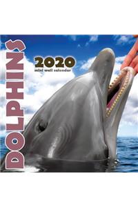 Dolphins 2020 Mini Wall Calendar