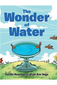 The Wonder of Water
