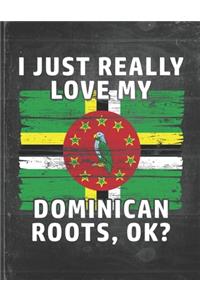 I Just Really Like Love My Dominican Roots