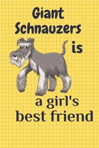 Giant Schnauzers is a girl's best friend