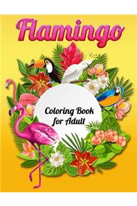 Flamingo Coloring Book for Adult