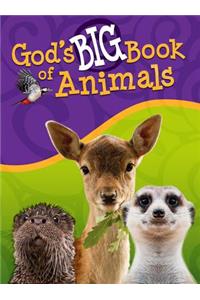 God's Big Book of Animals