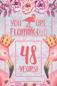 48th Birthday Journal