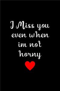 I Miss You Even When im not Horny
