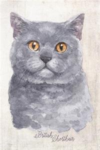 British Shorthair Cat Portrait Notebook