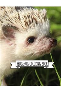 Hedgehog Coloring Book