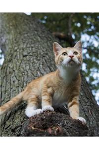 Cat Calculating the Precise Angle of the Jump Dot Grid Bullet Journal