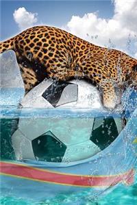 Soccer Journal