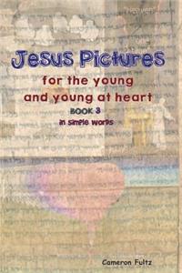 Jesus Pictures For The Young And Young At Heart - Book 3