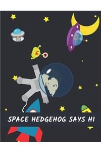 Space Hedgehog Says Hi