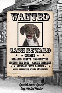 Spanish Water Spaniel Dog Wanted Poster