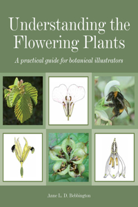 Understanding the Flowering Plants