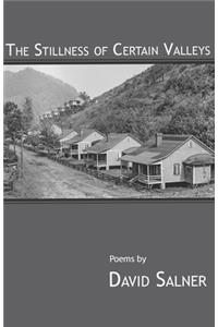 The Stillness of Certain Valleys