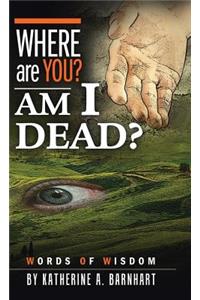 Where Are You? Am I Dead?