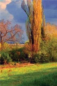 Country Copse Journal