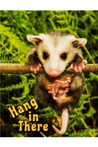 Hang in There