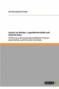 Gewalt an Schulen, Jugendkriminalität und Sozialstruktur