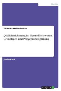 Qualitätssicherung im Gesundheitswesen. Grundlagen und Pflegeprozessplanung