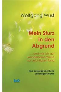 Mein Sturz in Den Abgrund