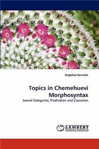 Topics in Chemehuevi Morphosyntax