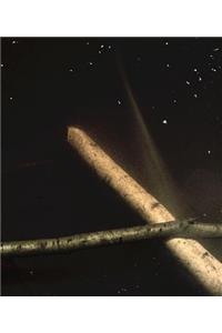 Comme Un Murmure / Like a Whisper