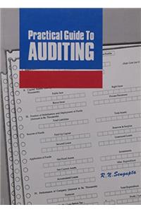 Practical Guide to Auditing