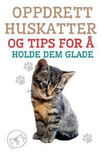 Oppdrett Huskatter og Tips for å Holde dem Glade