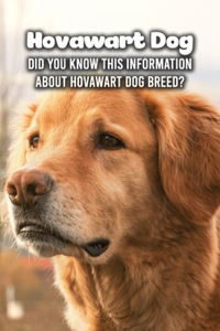 Hovawart Dog