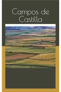 Campos de Castilla