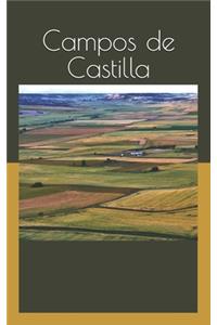 Campos de Castilla