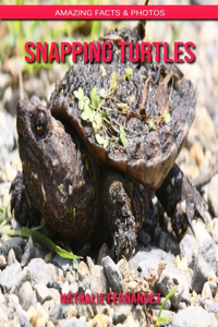 Snapping Turtles