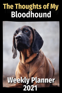 The Thoughts of My Bloodhound