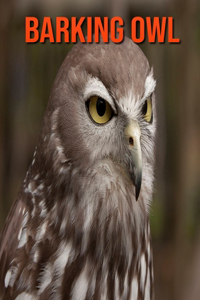 Barking Owl