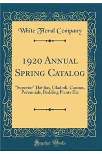 1920 Annual Spring Catalog: Superior Dahlias, Gladioli, Cannas, Perennials, Bedding Plants Etc (Classic Reprint)