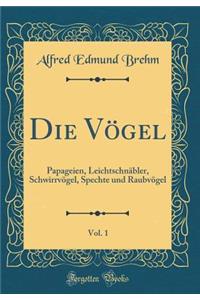 Die VÃ¶gel, Vol. 1: Papageien, LeichtschnÃ¤bler, SchwirrvÃ¶gel, Spechte Und RaubvÃ¶gel (Classic Reprint)