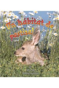 Un Hábitat de Pastizal (a Grassland Habitat)